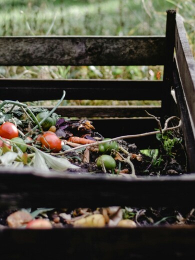 image d'un composteur