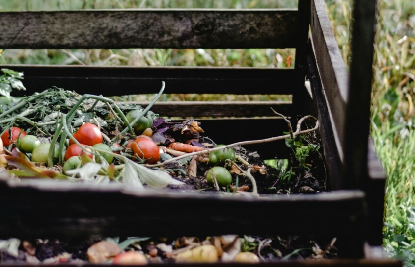 image d'un composteur