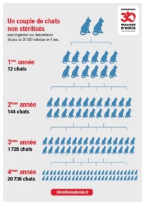 Descriptif de la prolifération de chats non stérilisés