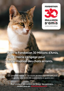 Affiche qui montre un chat. camapgne pour l'identification et la stérilisation des chats errants